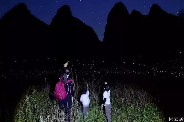 栅栏迷宫