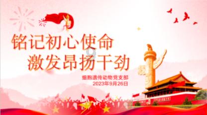 向上跳的香蕉